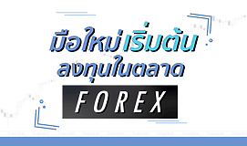 มือใหม่เริ่มต้นลงทุนในตลาด forex