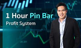 1 Hour Pin Bar Profit System