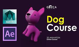 Dog Course (3D Animation) by ORCA Animation